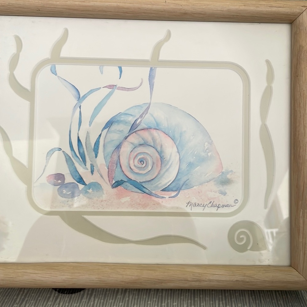 Marcy Chapman framed and matted signed watercolor seashell. Great for any room